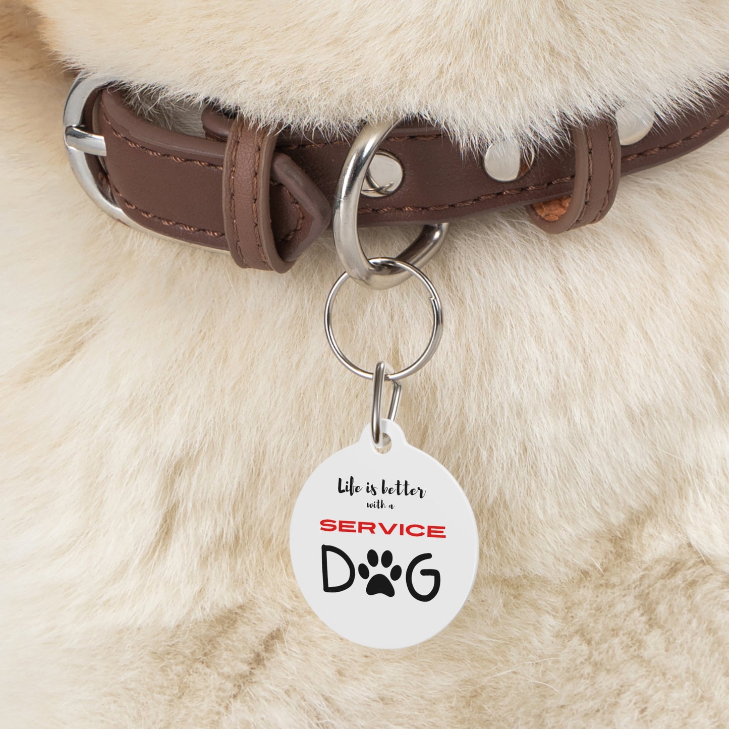 Pet Tag