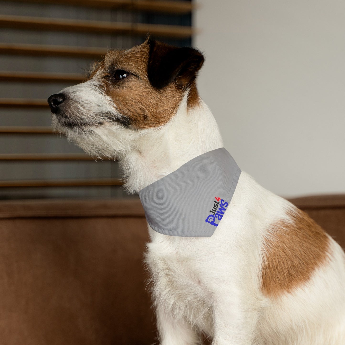 Pet Bandana Collar