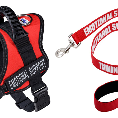 Red Animal Harness & Leash with Neoprene Handle/Cost Savings Bundle Package