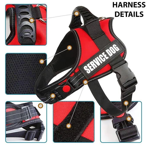 Animal Harness with Padded Handle